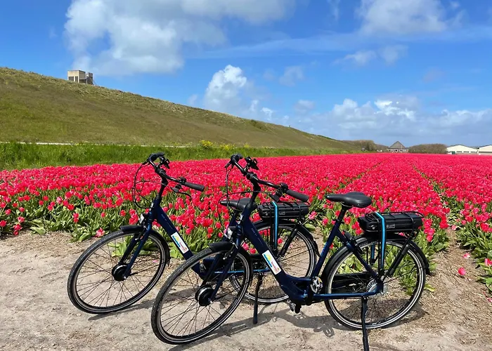 Strandparel 328 Vakantiehuis *